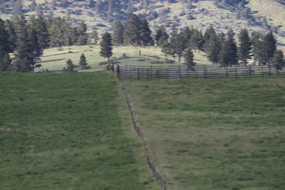 Fence on field