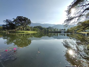 Reflection of trees in lake against sky