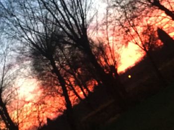 Low angle view of bare trees against sky