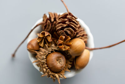 Close-up of dried fruits on table