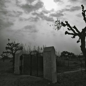 Trees on field against cloudy sky