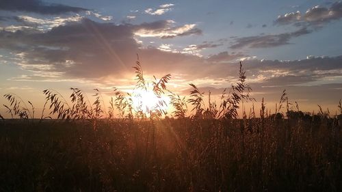 Scenic view of field against sky at sunset