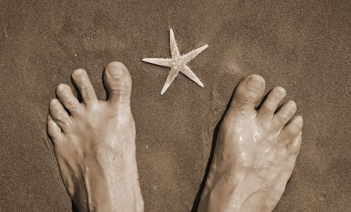 Low section of man standing with starfish at beach