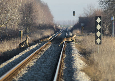 Railroad tracks by road