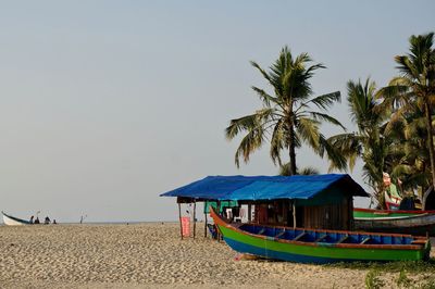 Palm trees on beach against clear sky and a colourful boat