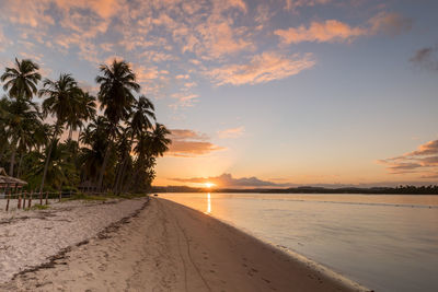 Sunset at praia dos carneiros - carneiros beach, pernambuco, brazil