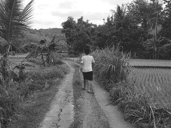 Rear view of man walking on footpath at field