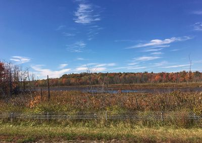 Scenic view of field against blue sky