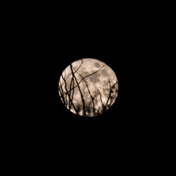 Low angle view of moon at night