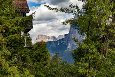 Panoramic view of trees and mountains against sky