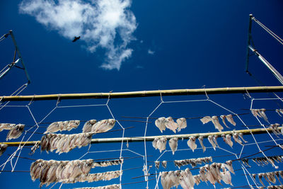 Low angle view of bird perching on rope against sky