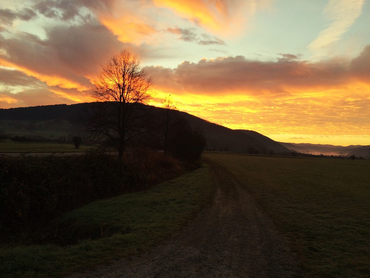 sunset, sky, landscape, tranquil scene, the way forward, tranquility, scenics, cloud - sky, field, dirt road, orange color, beauty in nature, road, nature, country road, cloud, rural scene, diminishing perspective, tree, transportation