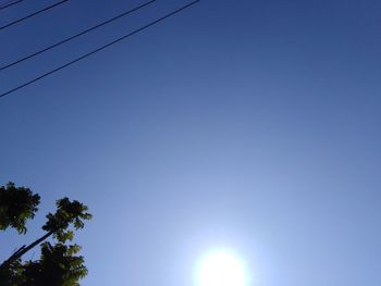 Low angle view of tree against blue sky