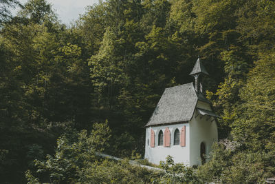 View of chapel in forest