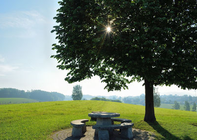 Trees on field against sky