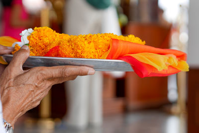 Close-up of hand holding food