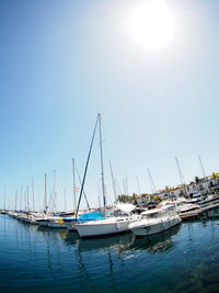 Sailboats moored in sea against clear sky