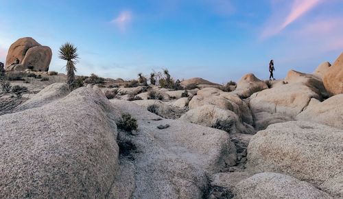 Rock formations at seaside