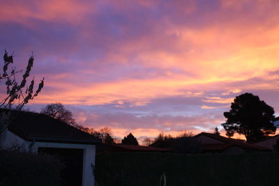 Silhouette of bare tree against dramatic sky