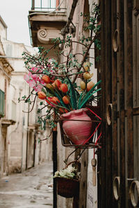 Low angle view of flowers against building