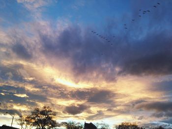 Low angle view of birds flying against cloudy sky