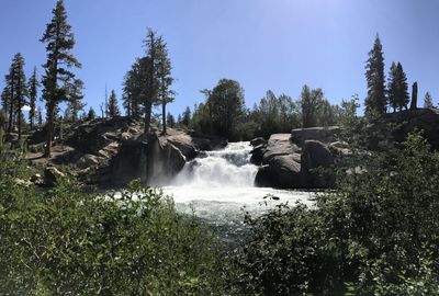 Scenic view of waterfall in forest against sky