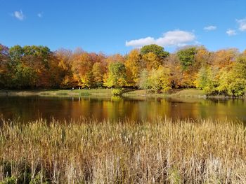 Scenic view of lake by trees against sky