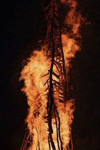 Low angle view of bonfire against trees at night