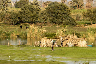 People on field by lake against trees