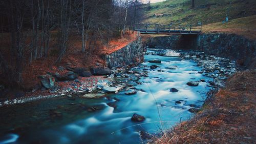 Water flowing in forest