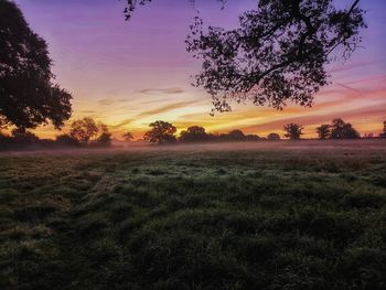 Scenic view of field against sky during sunset