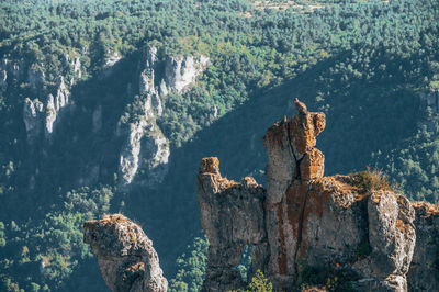 Panoramic view of rocks and trees on rock