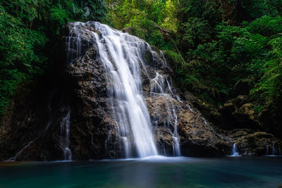 Scenic view of waterfall in forest