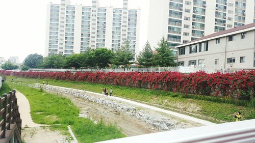 View of buildings in city