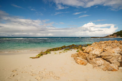 Scenic view of beach against sky