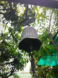 Close-up of bird perching on tree