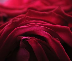 Full frame shot of red rose