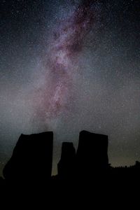 Low angle view of silhouette trees against sky at night