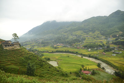 Scenic view of agricultural field by buildings against sky