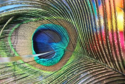 Detail shot of abstract background