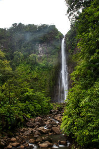 Scenic view of waterfall in forest