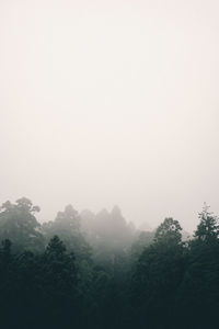 Scenic view of trees against sky