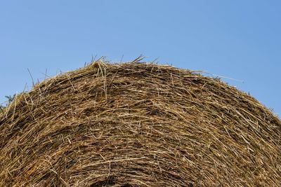 Low angle view of hay bales on field against clear sky