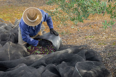 Man working on field