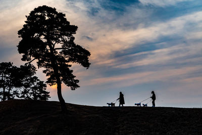 Silhouette people standing by tree with dog against sky during sunset