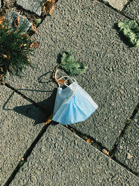 High angle view of leaf on street