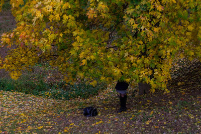 Rear view of person walking on yellow during autumn