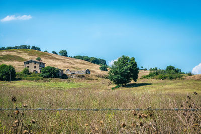 Scenic view of landscape against clear sky