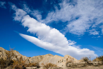 Low angle view of landscape against blue sky