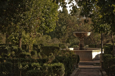 View of fountain in garden